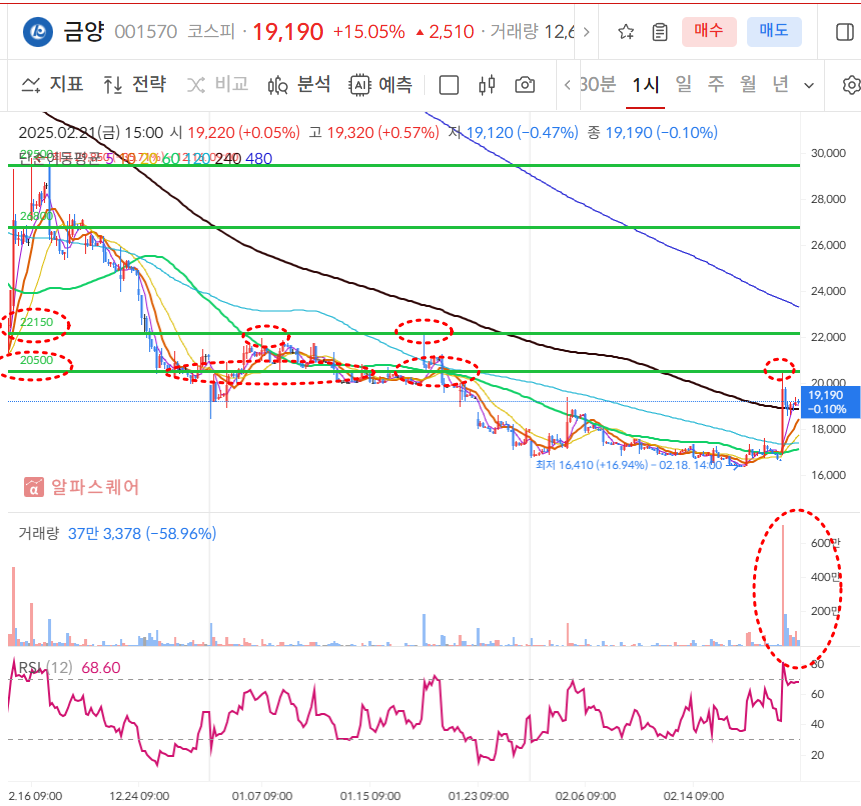 금양 60분봉 차트