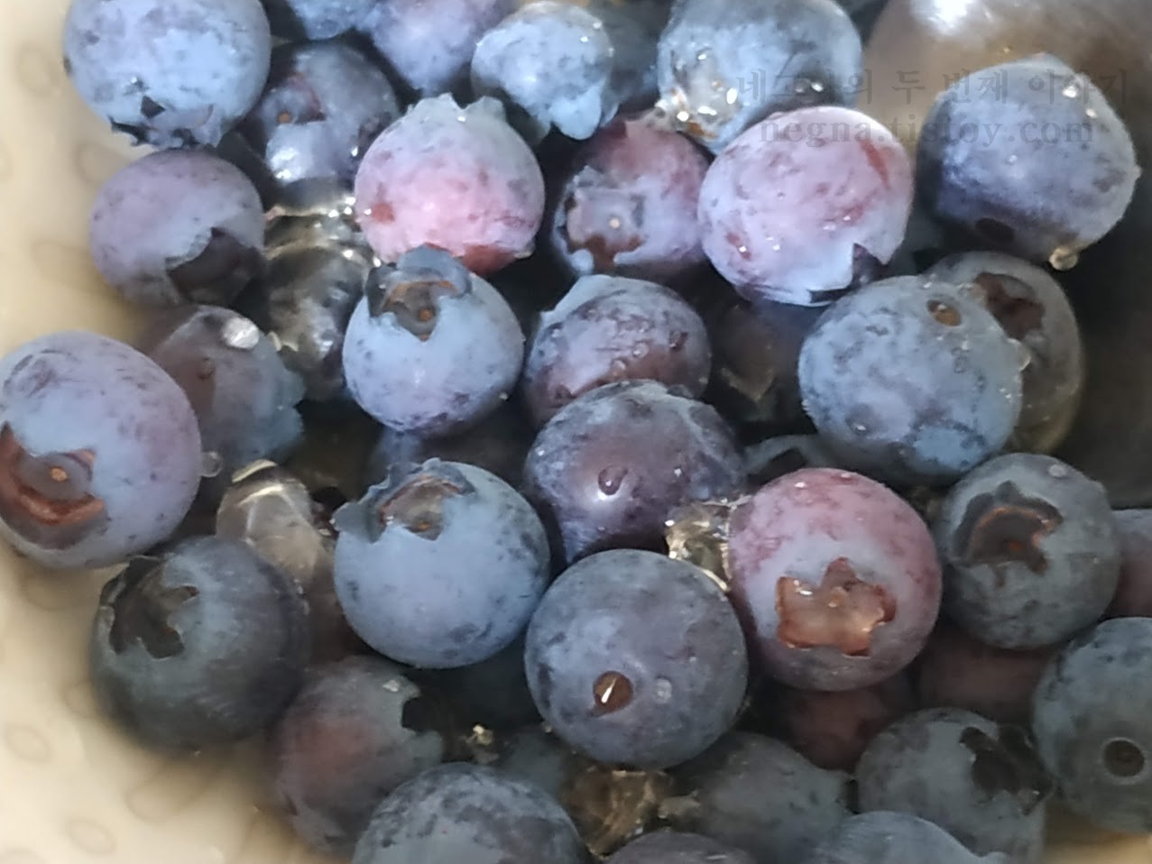 아침마다 먹는 블루베리 열매.