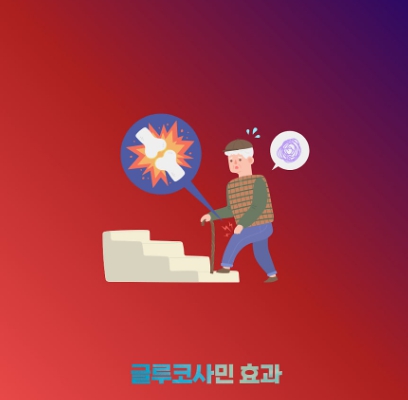 난각막가수분해물 효능