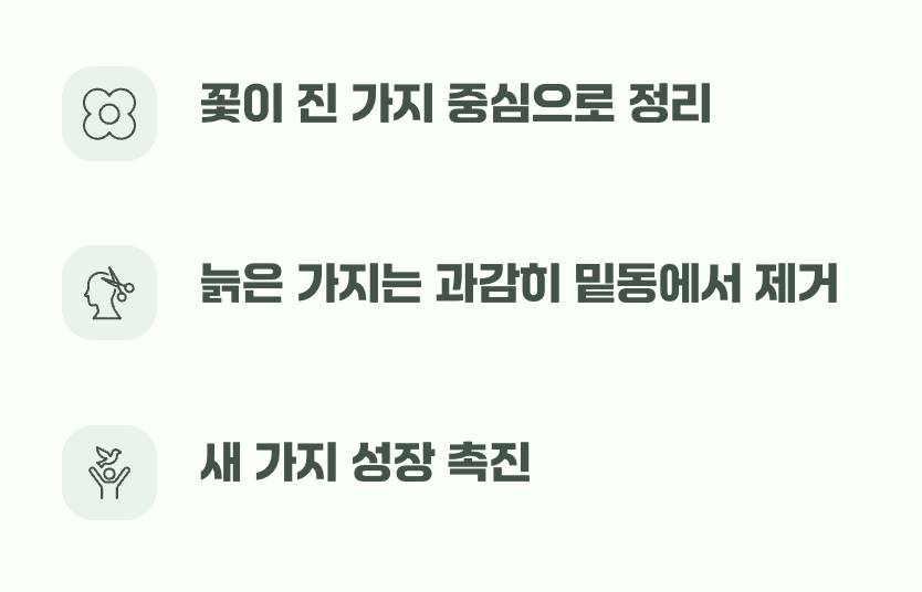 수형 다듬기&amp;#44; 야생마를 조련하듯