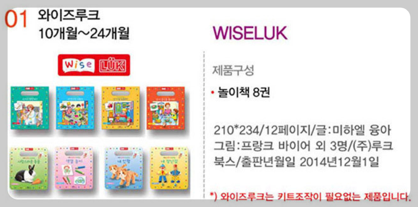 와이즈루크란?