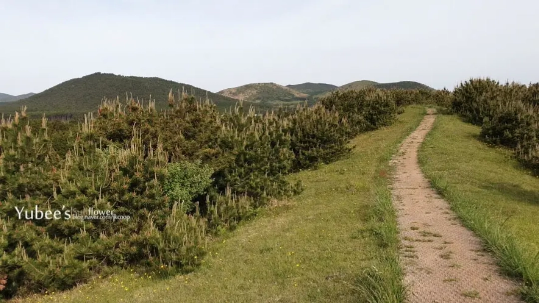 아부오름 정상 경치