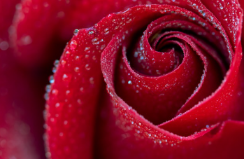 블랙이글스 에어쇼 3