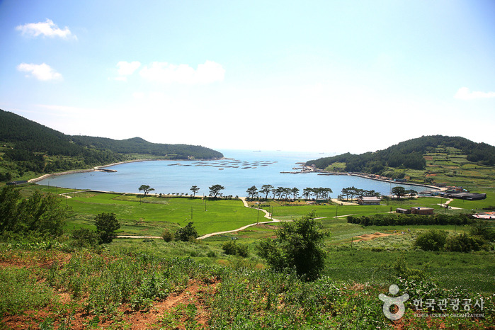 청산도