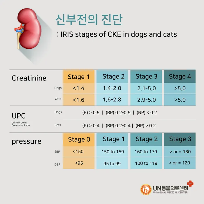 강아지 신부전에 좋은 음식 추천_4