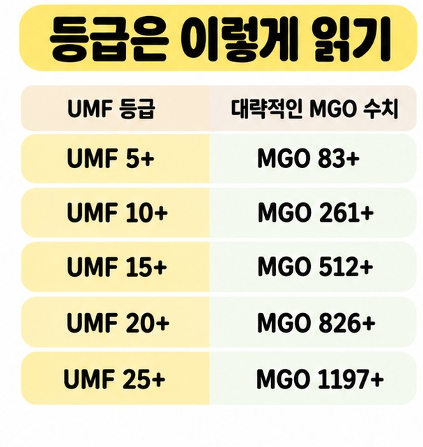 UMF 5+부터 25+까지와 대응 MGO 수치를 단계별로 비교한 카드