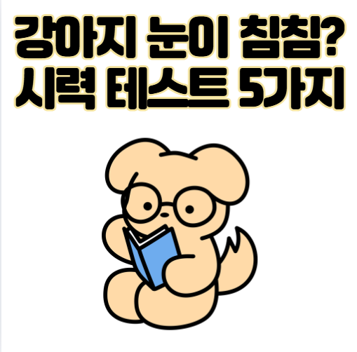 강아지 눈이 침침? 시력 테스트 5가지 및 저하 신호