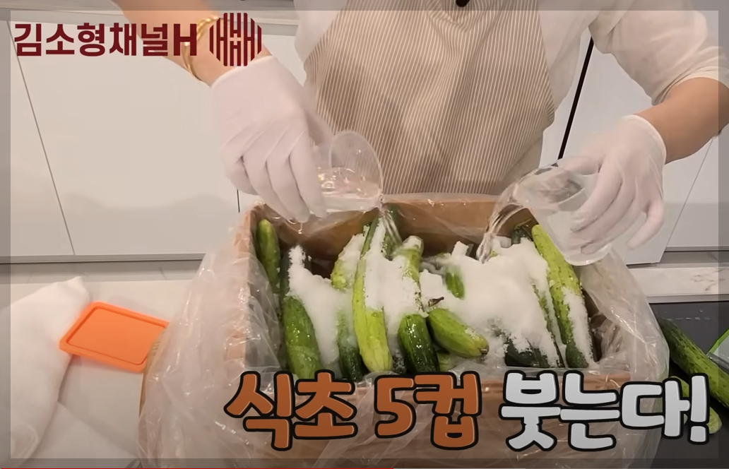 오이지 담그는법 비율 및 오이 장아찌 아삭하게담는법 