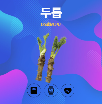 두릅 알아보기