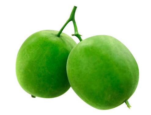 나한과(羅漢果)3