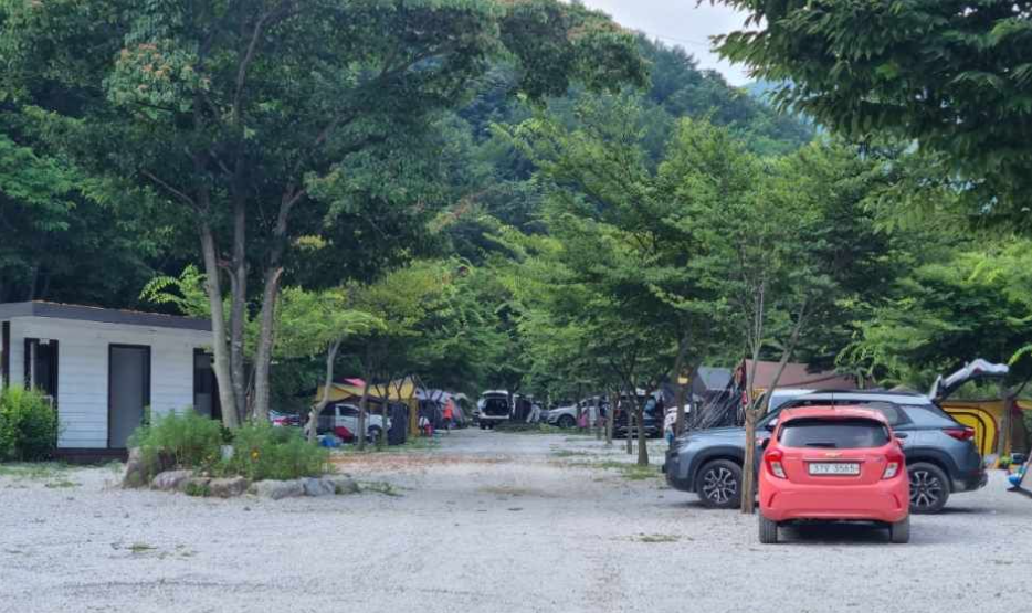 경기-포천-담터금학-캠핑장-사진-입니다.