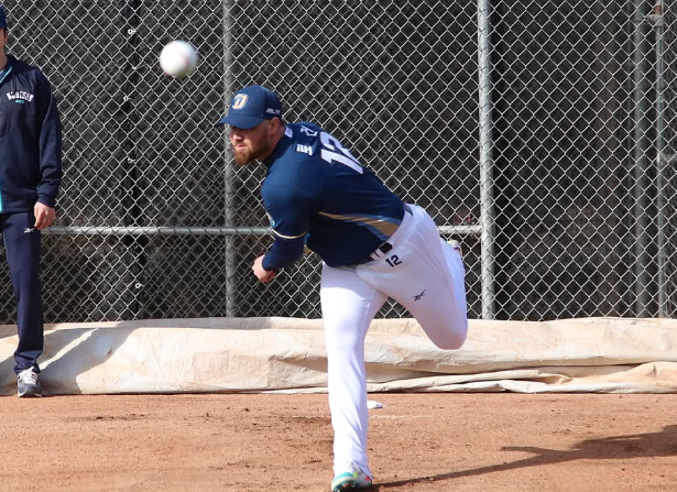 NC 다이노스 외국인 선수 구성