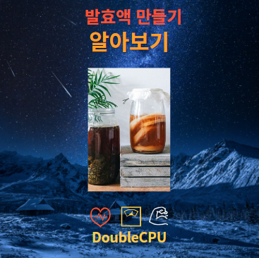 발효액 만드는 방법