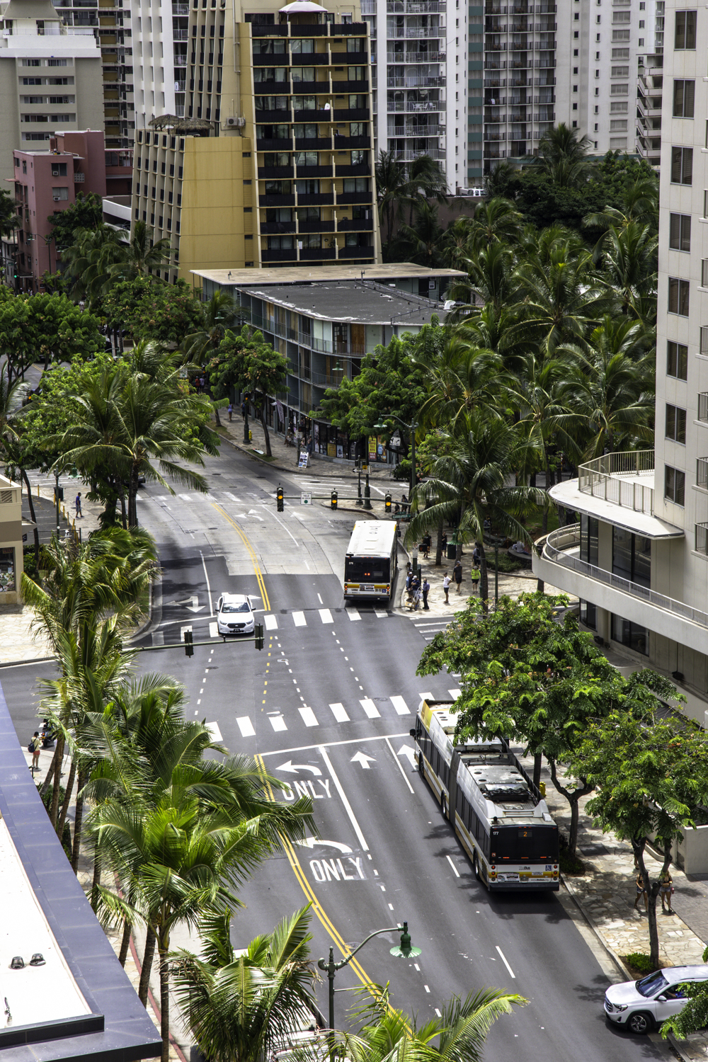 하와이 와이키키