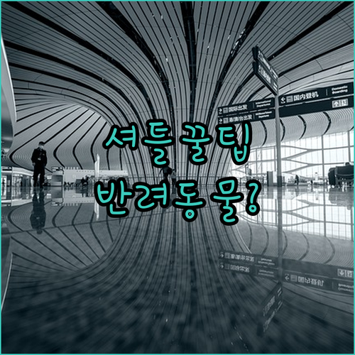 캘거리 공항 근처 호텔 리뷰 셔틀 반..