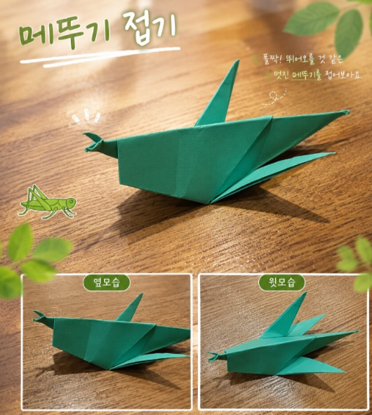 메뚜기는 왜 식량으로 먹었을까? 메뚜기의 특징과 생태 총정리 - 메뚜기 종이접기