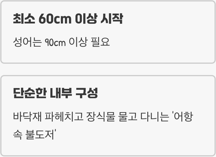 어항 - '나만의 왕국'을 선물하세요