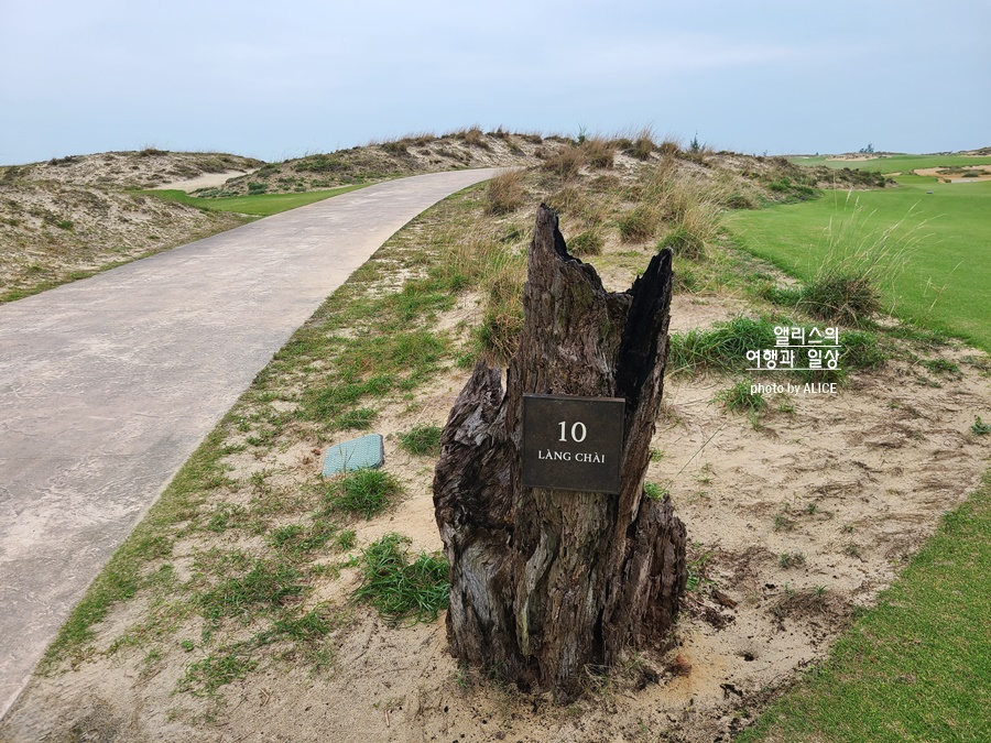 다낭 호이안 골프여행 호이아나 쇼어스 CC 이용정보 후기 골프장 추천