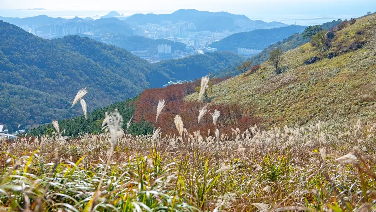 구덕산