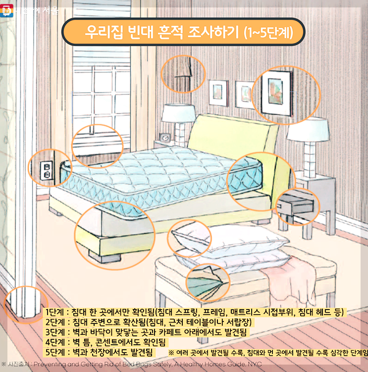 빈대 퇴치법 및 증상 A to Z