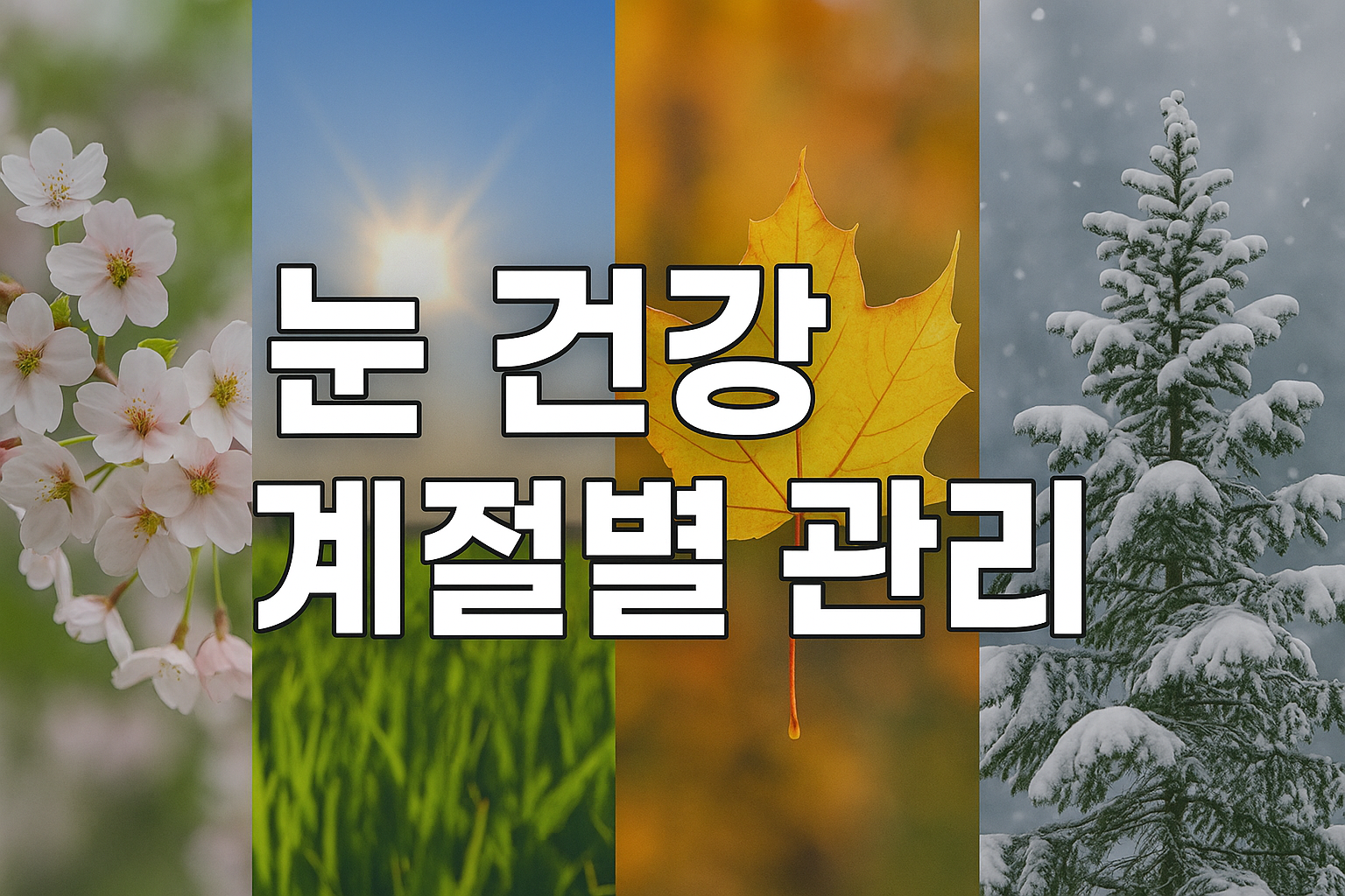 눈 건강 계절별 관리 가이드