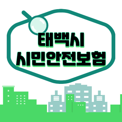 태백시 시민안전보험