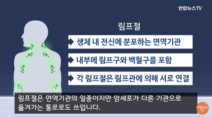 &quot;암 환자의 큰 걱정 &#39;전이&#39; 메커니즘 세계 최초로 규명...치료법 개발 탄력&quot; 기초과학연구원