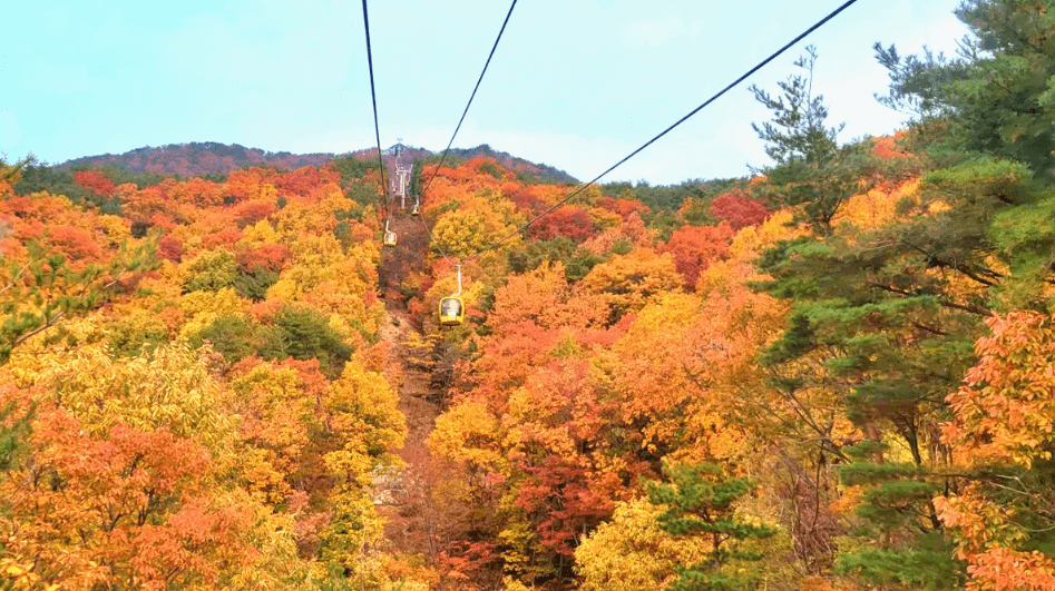팔공산 단풍 단풍길 코스,