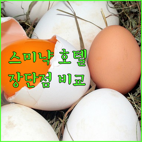 발리 스미냑 호텔 예약 가이드 알릴라