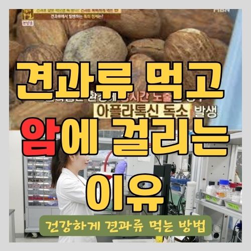 견과류가 다이어트에 필수인 이유 - 호두, 아몬드 효능과 하루 섭취량 LDL 콜레스테롤 낮추는 방법과 음식 썸네일