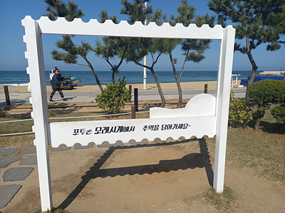 포토존 사진