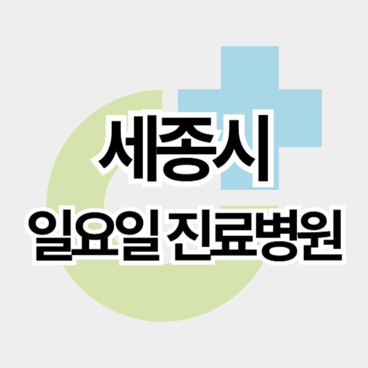 세종시_일요일진료병원_썸네일