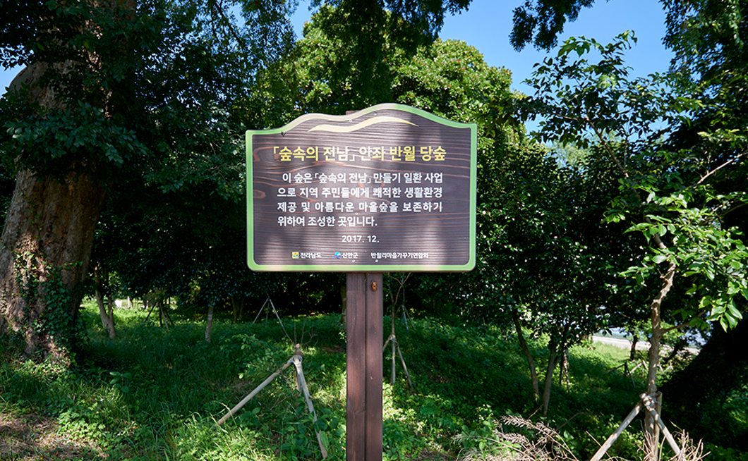 반월마을당숲