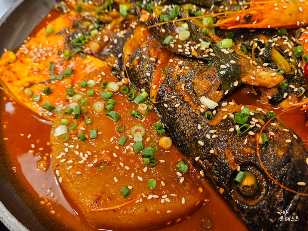 중문 고집돌우럭