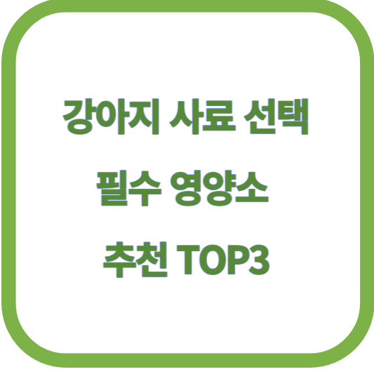 강아지 사료 선택 기준 필수 영양소 추천 TOP3