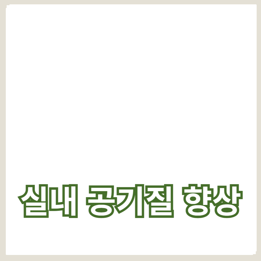 실내 공기질 향상을 위한 공기청정기 필터 관리 및 유지 보수 방법