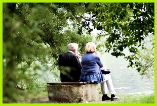 나무에 앉아있는 노부부