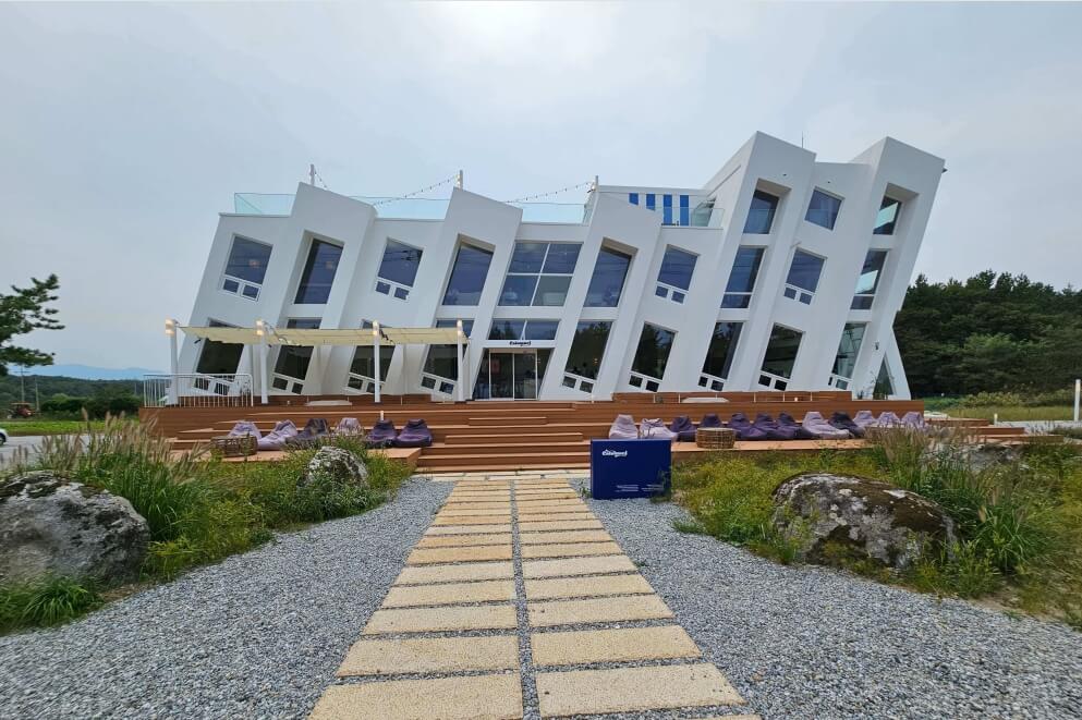 calamari gangrung in korea