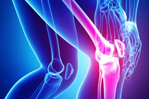 관절영양제-추천