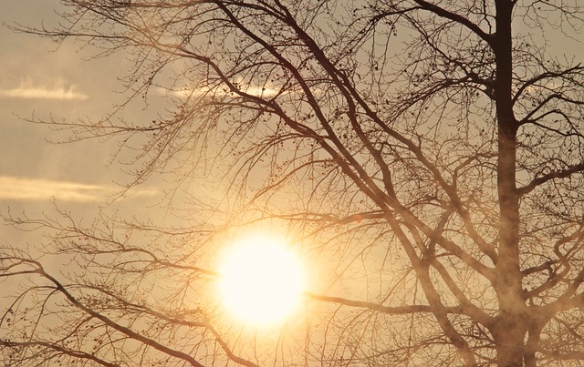 새해 일출 장소 추천 - 특별한 시작을 위한 해돋이 명소