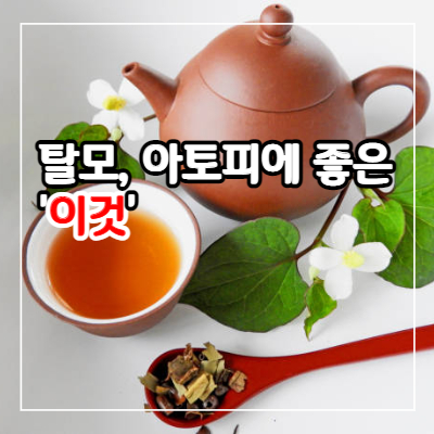 어성초 효능 10가지와 먹는 법&#44; 부작용
