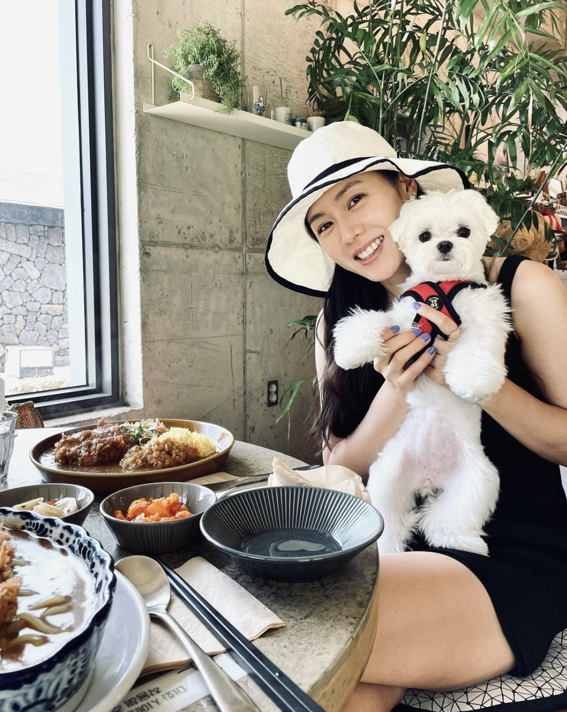 손예진 강아지