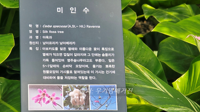 24년 순천만 국가정원 식물원 동문 순천여행