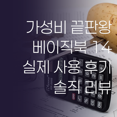 가성비 노트북 끝판왕! 베이직스 베이..