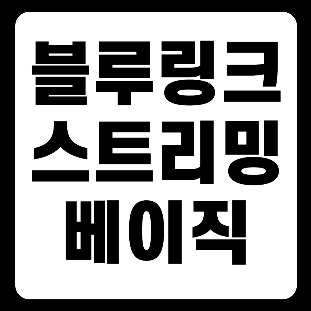 블루링크 스트리밍 베이직, 완벽한 스트리밍 솔루션(+2024)