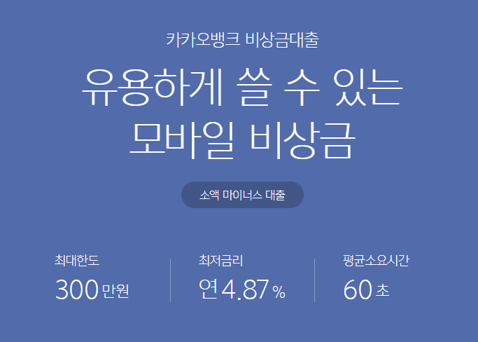 주부대출
