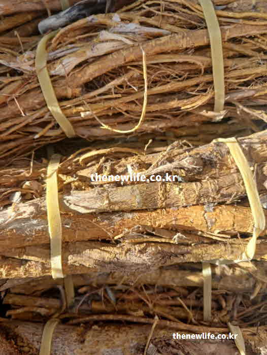 꾸지뽕 효능 부작용 성질