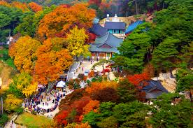 삼막사 탐방기 (안양 관악산, 도심 속 천년고찰)