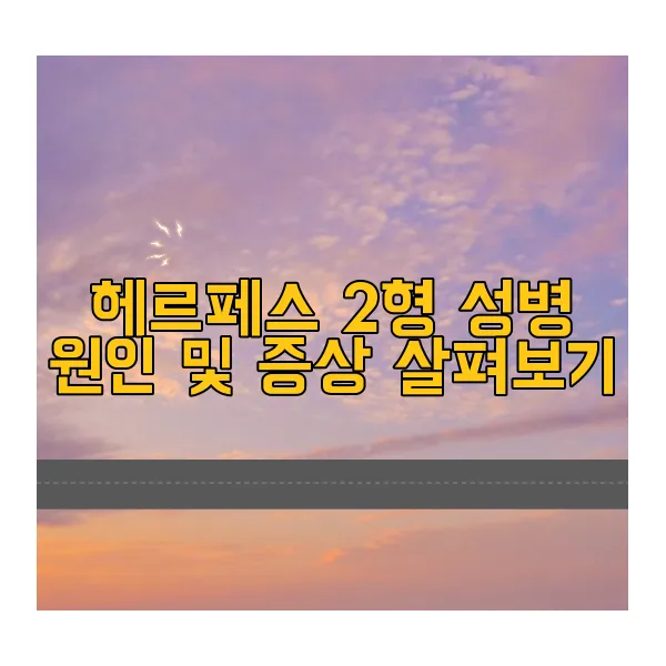 헤르페스-2형-성병