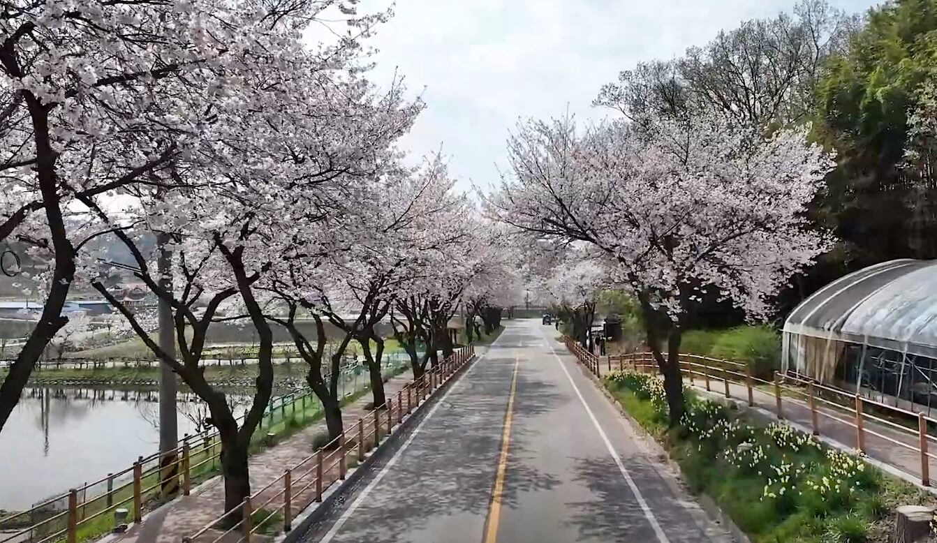 거북이마을